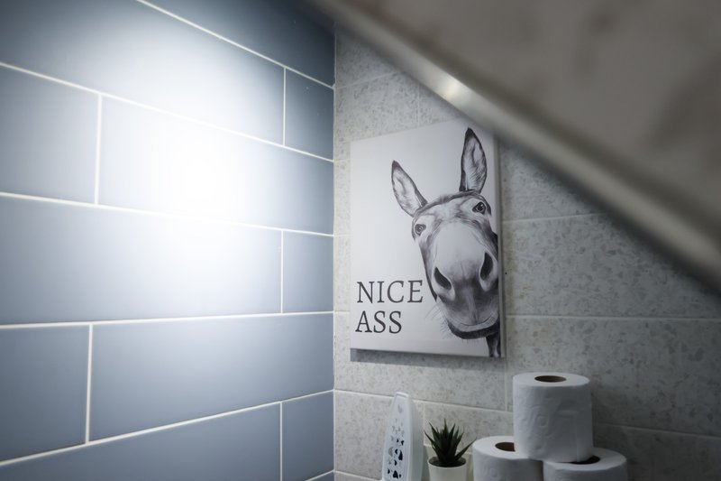 Modern bathroom with subway tiles, framed donkey artwork, potted plant and toilet paper holder