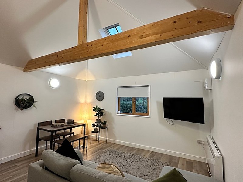 Modern open-plan living space with exposed wooden beam, dining table, sofa, wall-mounted TV and pendant lighting