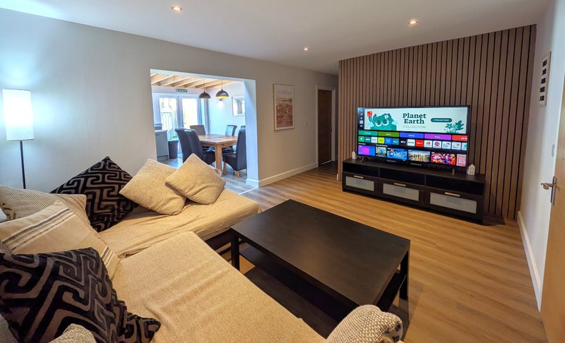 Modern living room with bed, TV, wooden floor and seating area