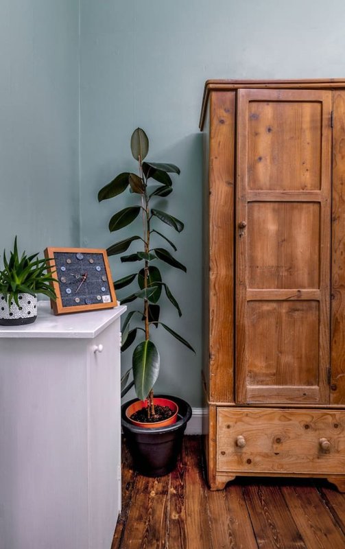Bedroom corner with wooden wardrobe, potted plant, white shelf and wooden flooring
