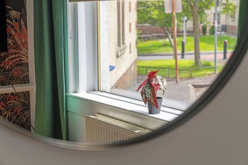 Curved mirror reflecting window view with potted plant and suburban street outside