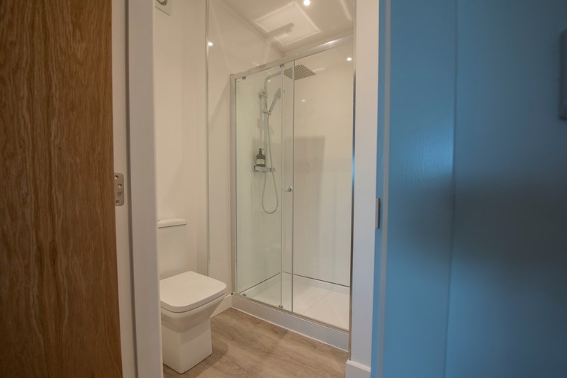 Modern bathroom with walk-in shower enclosure, toilet, and wooden flooring