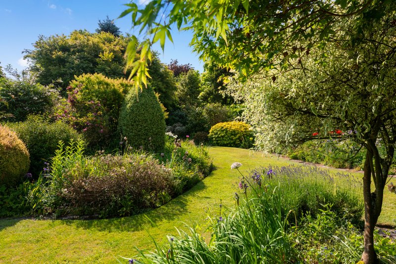 Large garden with mature trees, manicured lawn, shrubs and flowering borders on sunny day