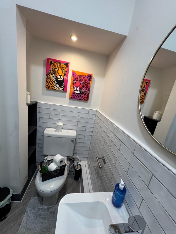 Small bathroom with toilet, sink, subway tile walls, and colorful animal artwork