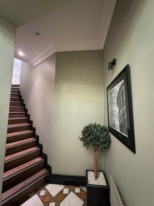 Hallway with staircase, framed wall art, potted plant, and geometric floor mat