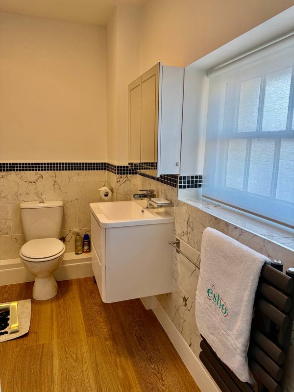 Bathroom with toilet, pedestal sink, mirror, window, and towel rail