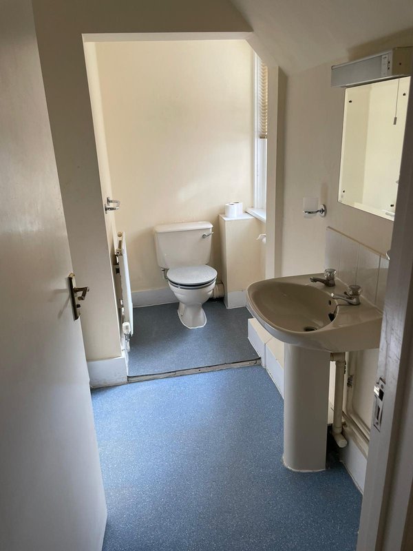 Bathroom with toilet, pedestal sink, mirror and blue vinyl flooring