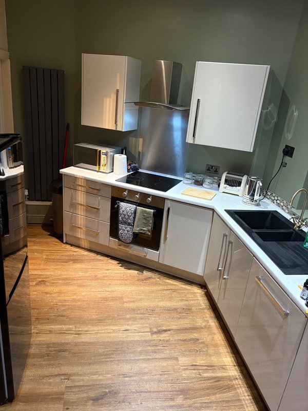 Modern kitchen with stainless steel appliances, white cabinetry, wooden flooring and green walls
