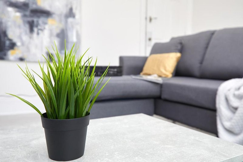 Modern living room with gray sofa, potted plant on white table, and abstract artwork