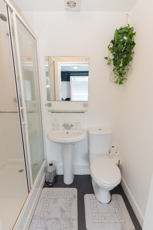 Small bathroom with pedestal sink, toilet, shower enclosure and hanging plant décor