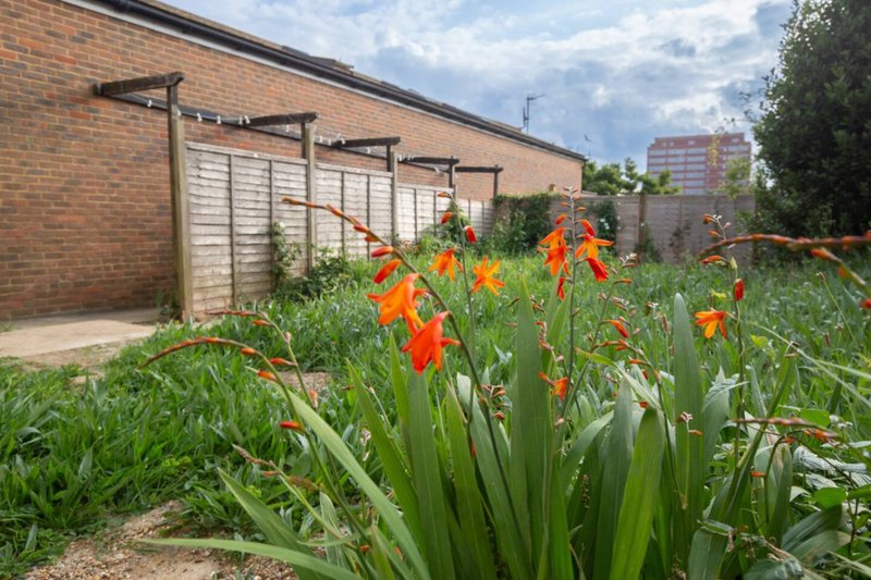 Brick property exterior with garden, orange flowers, trellis structures and green foliage