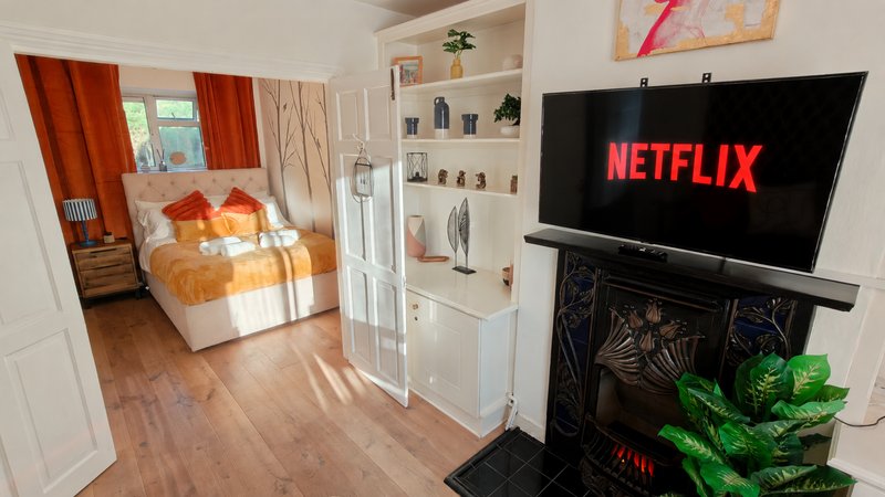 Open-plan living and bedroom area with TV on fireplace, shelving, wooden flooring and bright natural light