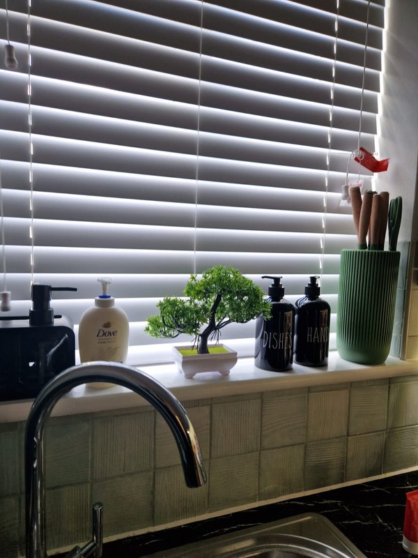 Kitchen sink area with white blinds, countertop toiletries, green plant, and black faucet