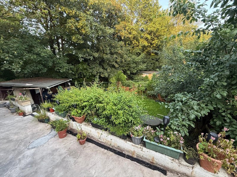 Garden area with mature trees, planted borders, terracotta pots and paved patio