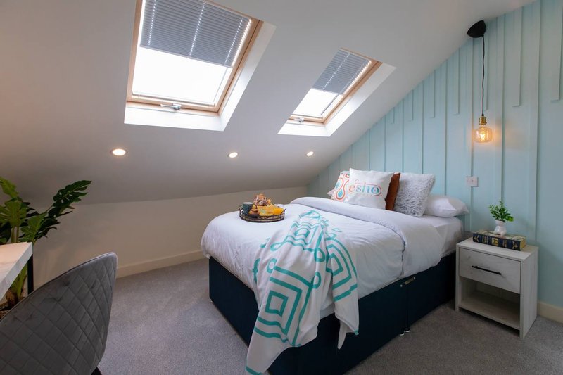 Bright attic bedroom with double bed, skylight windows, blue panelled wall and potted plants