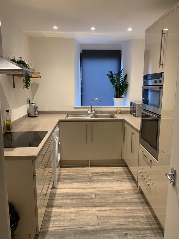 Modern kitchen with cream cabinetry, stainless steel appliances, blue window and potted plant