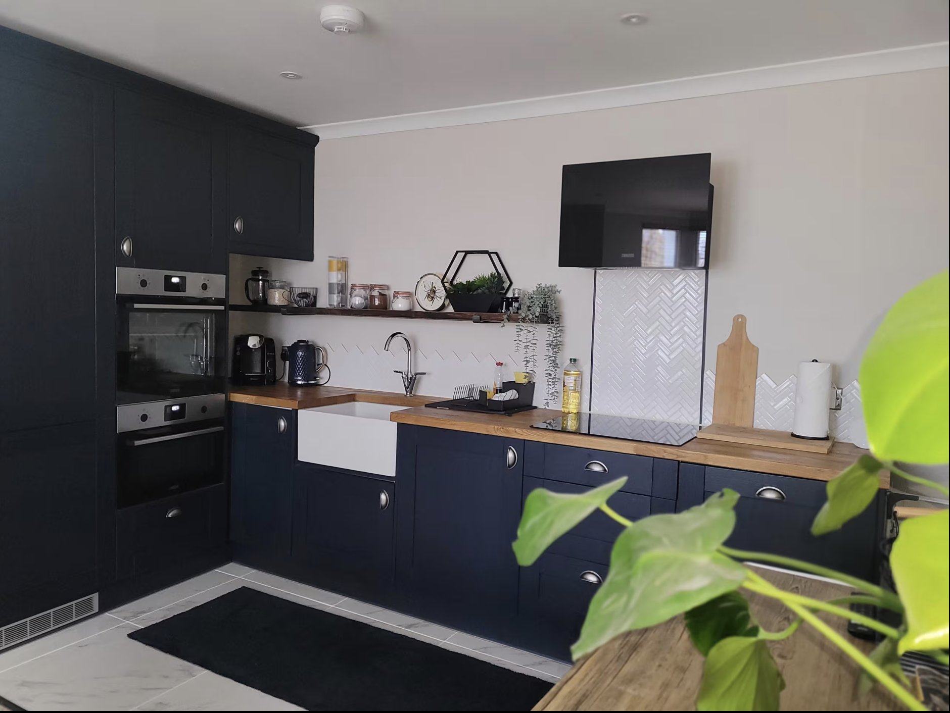 Modern kitchen with black cabinetry, white countertop, stainless steel appliances and green plant in foreground