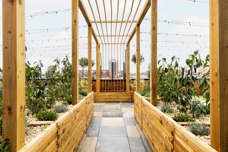 Wooden pergola walkway with string lights, raised garden beds with plants on either side