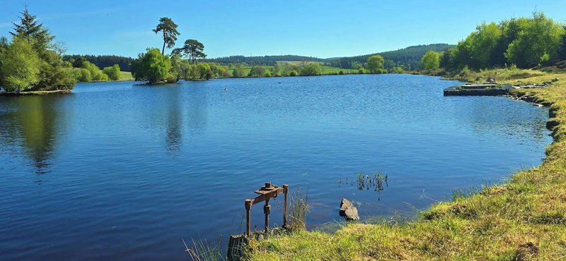 Lake view with grassy banks, trees, and clear blue water on sunny day