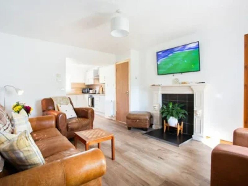 Modern living room with brown leather seating, wooden coffee table, fireplace and wall-mounted TV