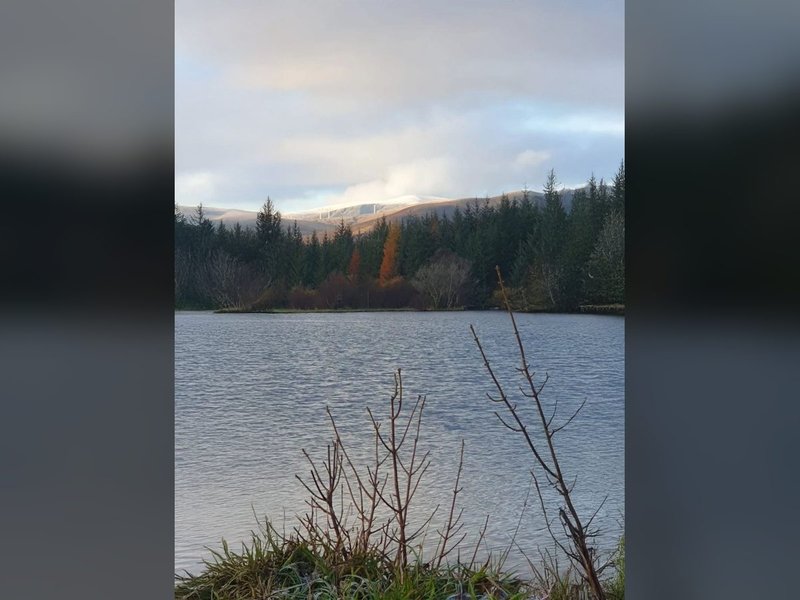 Lake view with bare branches in foreground, forested hills and mountains in background