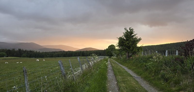 Rural property driveway with fenced fields, mountains and sunset sky in background
