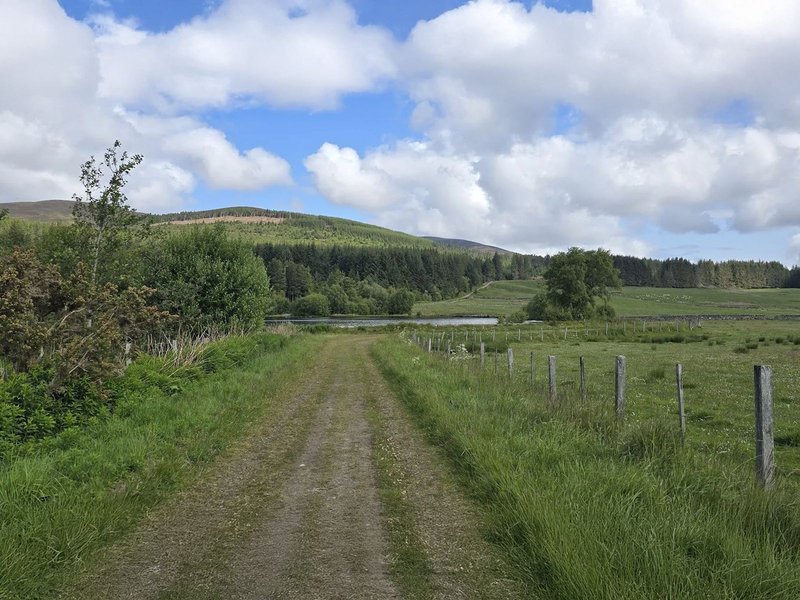 Rural dirt track with fenced fields, trees and forested hillside in background
