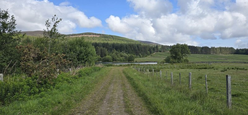 Rural countryside track with fields, fencing, trees and distant forested hillside