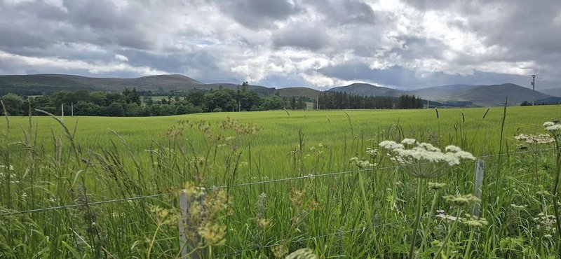 Rural landscape with green meadow, distant mountains, scattered trees and cloudy sky