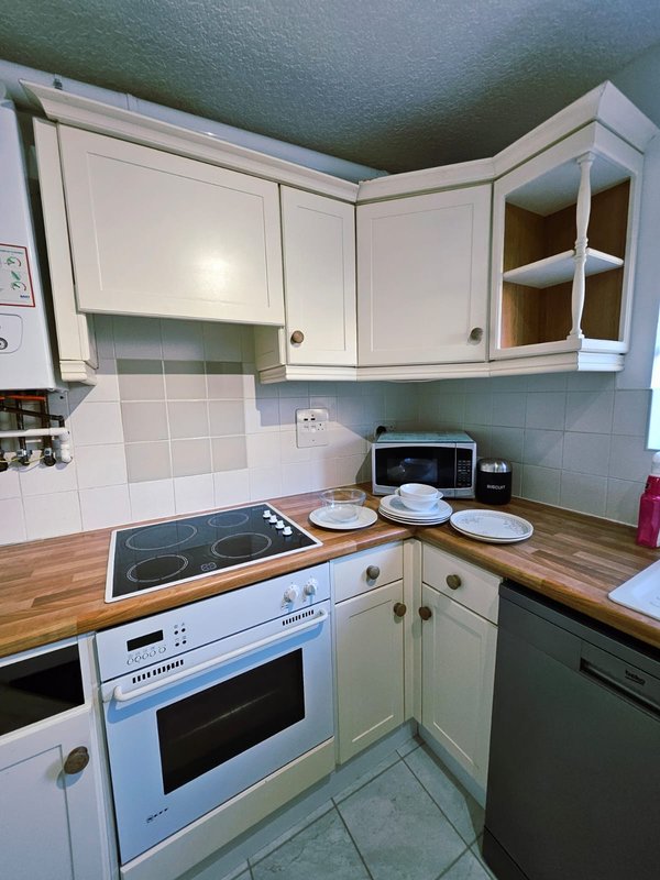 Small kitchen with white cabinetry, wooden countertops, induction hob, and tiled backsplash