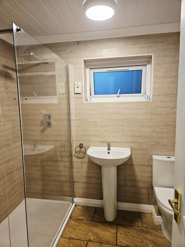 Modern bathroom with walk-in shower, pedestal sink, toilet and window