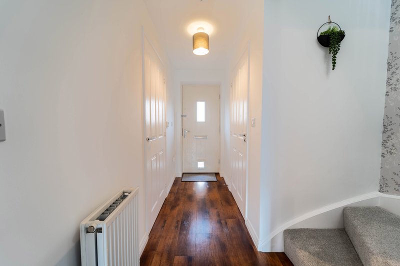 Bright narrow hallway with white doors, wooden floor, ceiling light and hanging plant