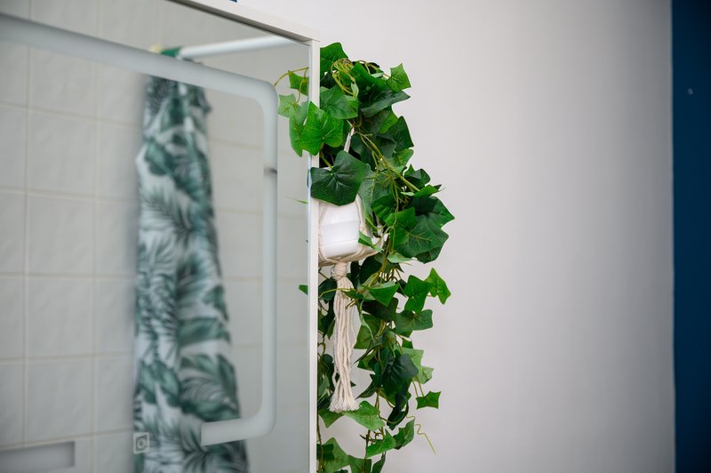 Bathroom with shower enclosure, white tile walls, and climbing ivy plant decoration