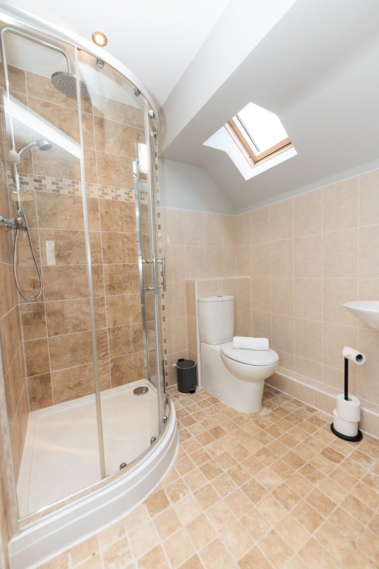 Modern bathroom with curved shower enclosure, toilet, and skylight window
