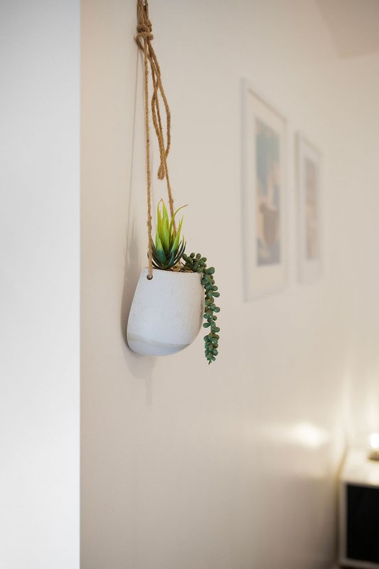 Hanging ceramic planter with succulents and trailing ivy against white wall