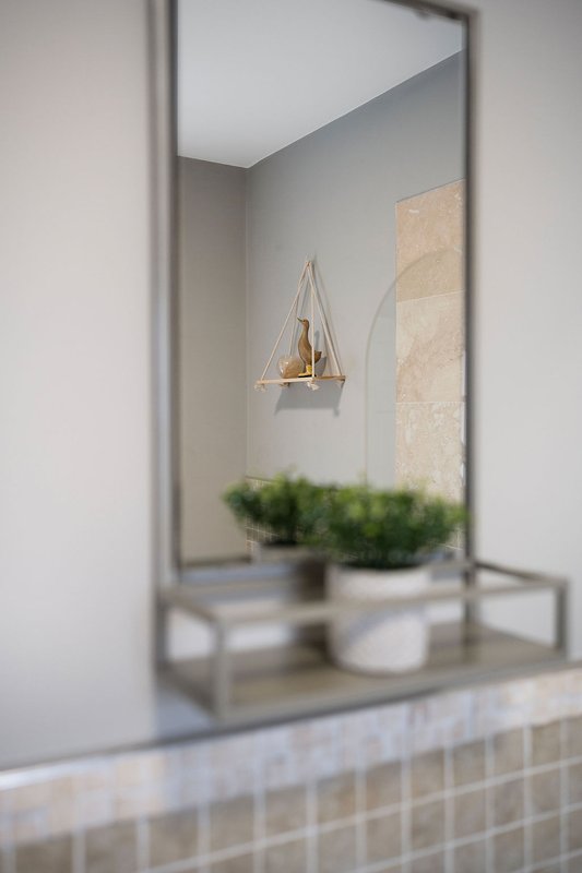 Bathroom mirror reflecting minimalist decor with potted plant and wall shelving