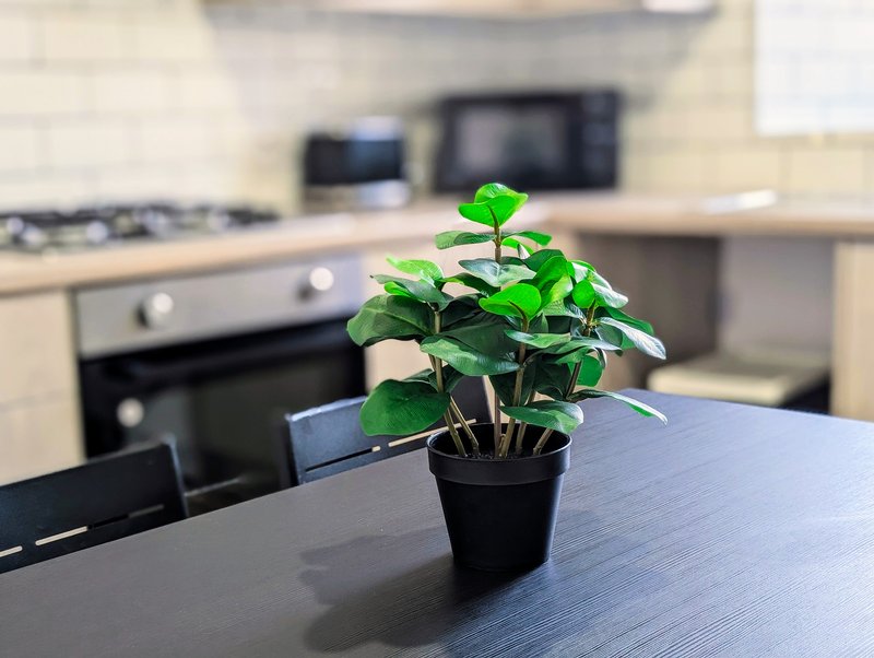 Kitchen with black dining table, potted plant, and appliances in background