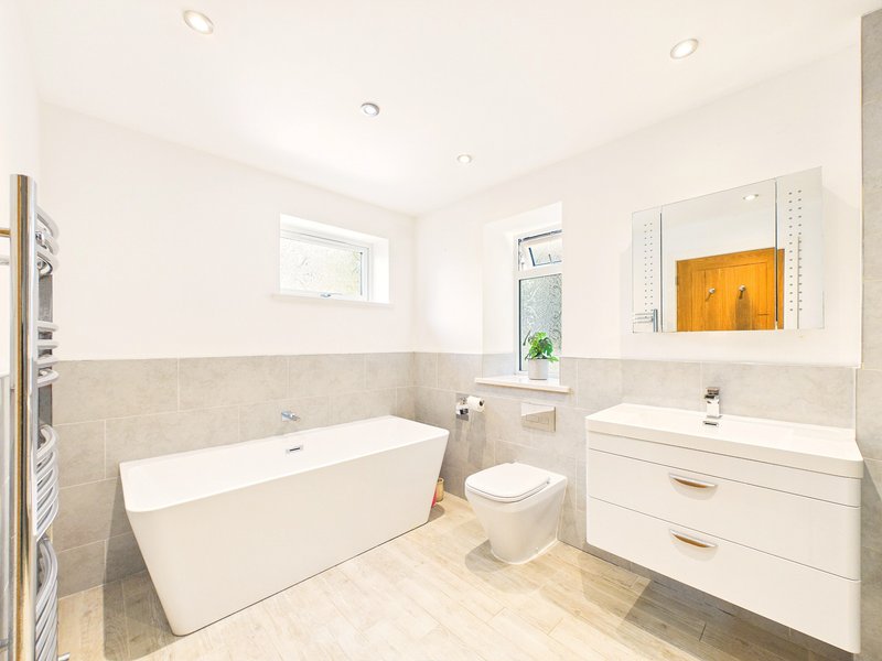 Modern bathroom with freestanding bathtub, toilet, vanity sink and wooden flooring