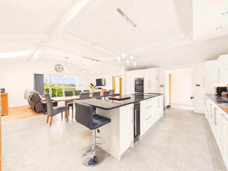 Open-plan kitchen and living area with white cabinetry, island seating, and modern furnishings