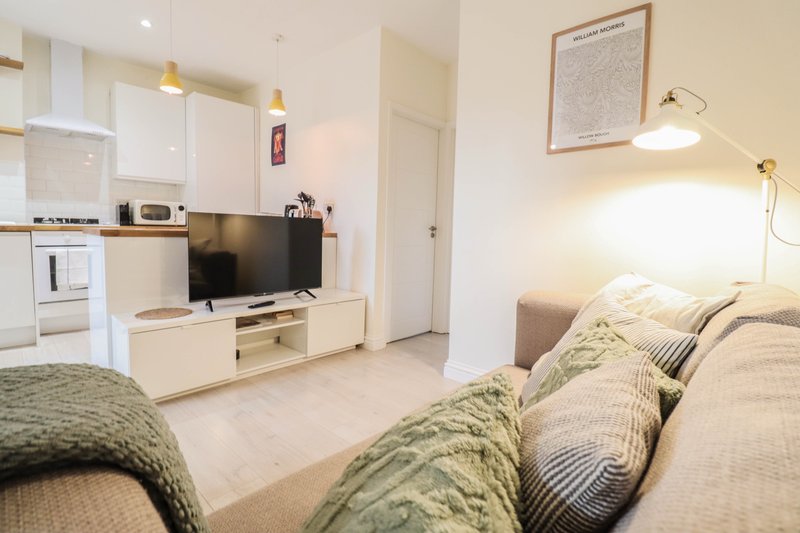 Open-plan studio with sofa, TV, kitchenette, and bed in background