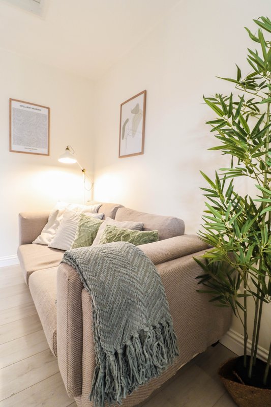 Cozy living room with beige sofa, decorative pillows, throw blanket, potted plant and wall art