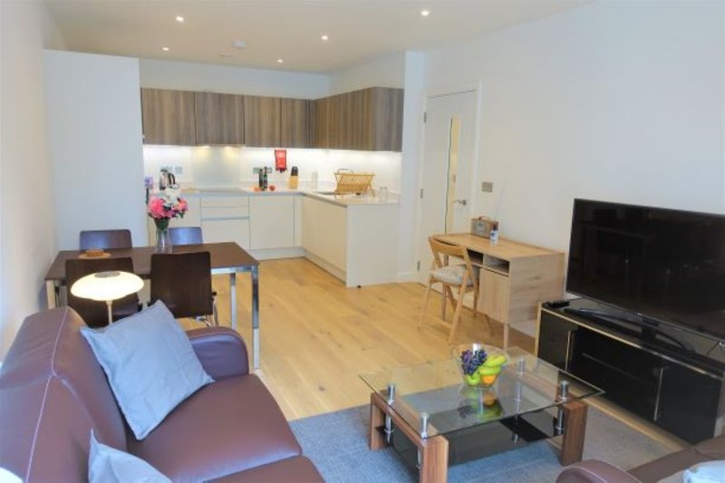 Open-plan living room and kitchen with sofa, TV, dining table and wooden flooring