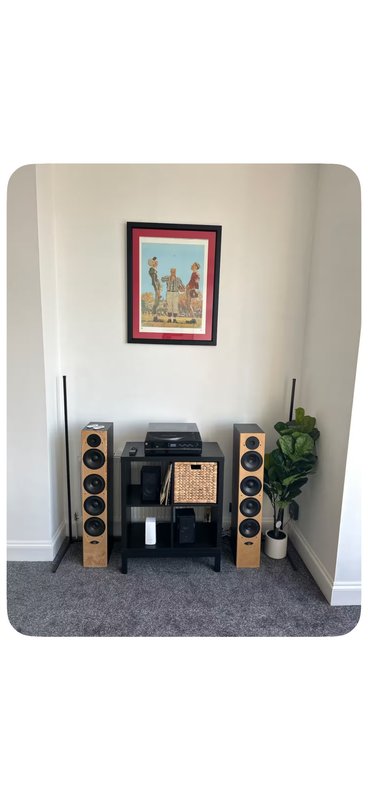 Entertainment nook with black media console, wooden speakers, framed artwork and potted plant
