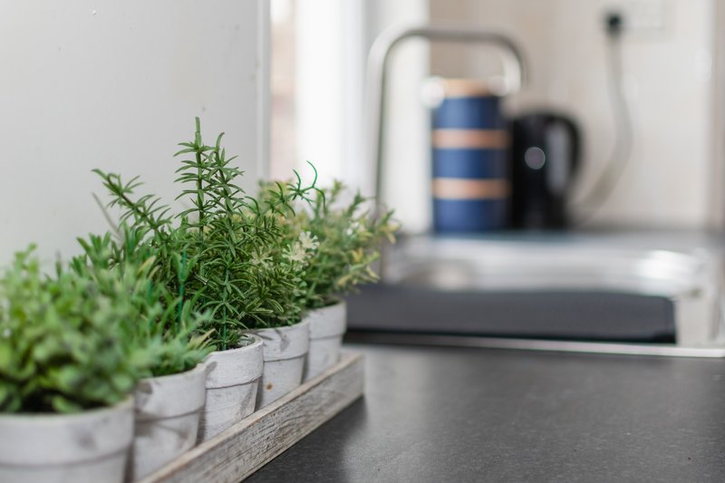 Kitchen counter with potted herbs in planters and faucet backdrop