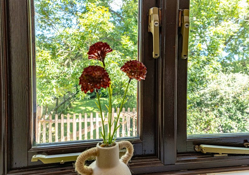 Dark wooden window frame with red flowers in cream pitcher, garden view beyond