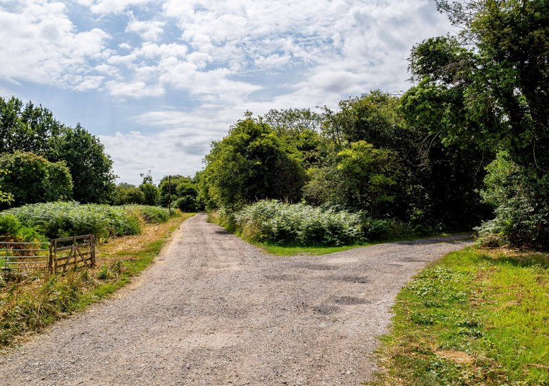 Long gravel driveway lined with trees and green fields leading to property