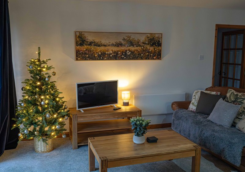 Living room with decorated Christmas tree, wooden TV unit, sofa and coffee table