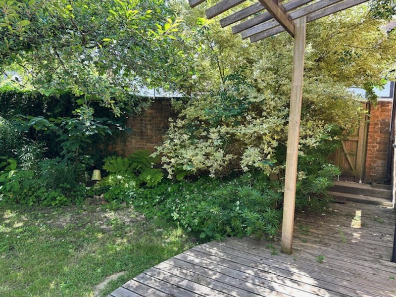 Garden patio with wooden deck, pergola, climbing ivy and brick wall