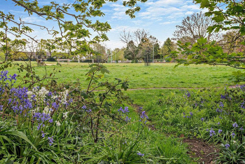 Green garden with purple flowering plants and trees in background under blue sky
