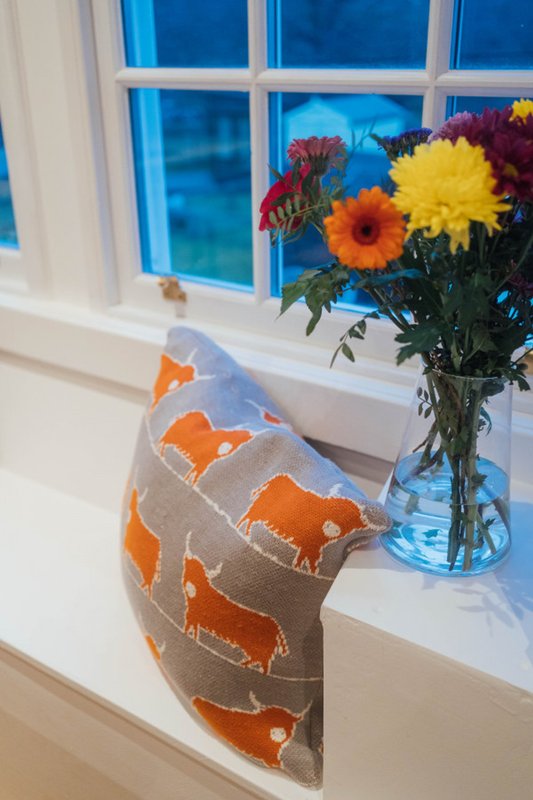 Windowsill with colorful flowers in glass vase and decorative cushion